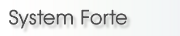 System Zarz�dzania Forte dla przedsi�biorstw du�ych i �rednich